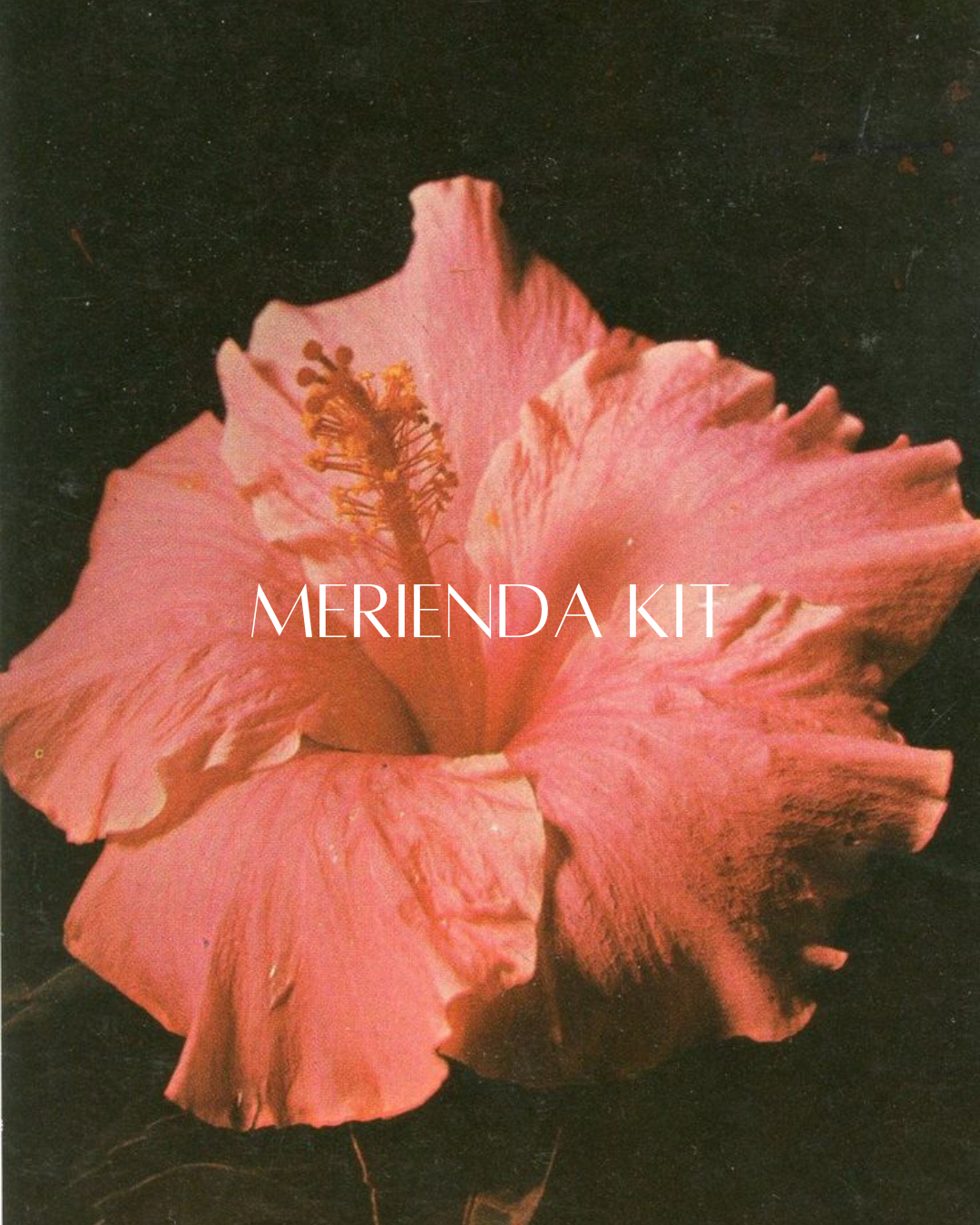 Merienda Kit – A Taste of Home
